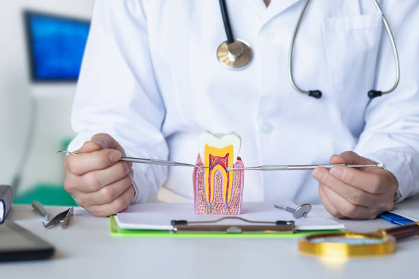 Best Pediatric Emergency Dentist in Jackson, AL